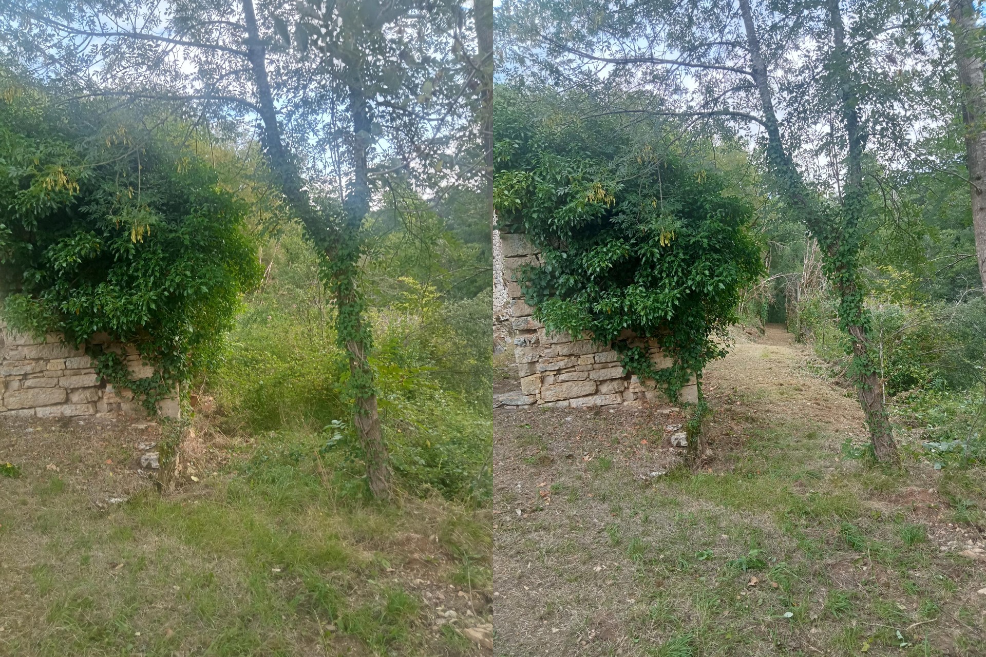 Entretien Espaces Verts Cahors