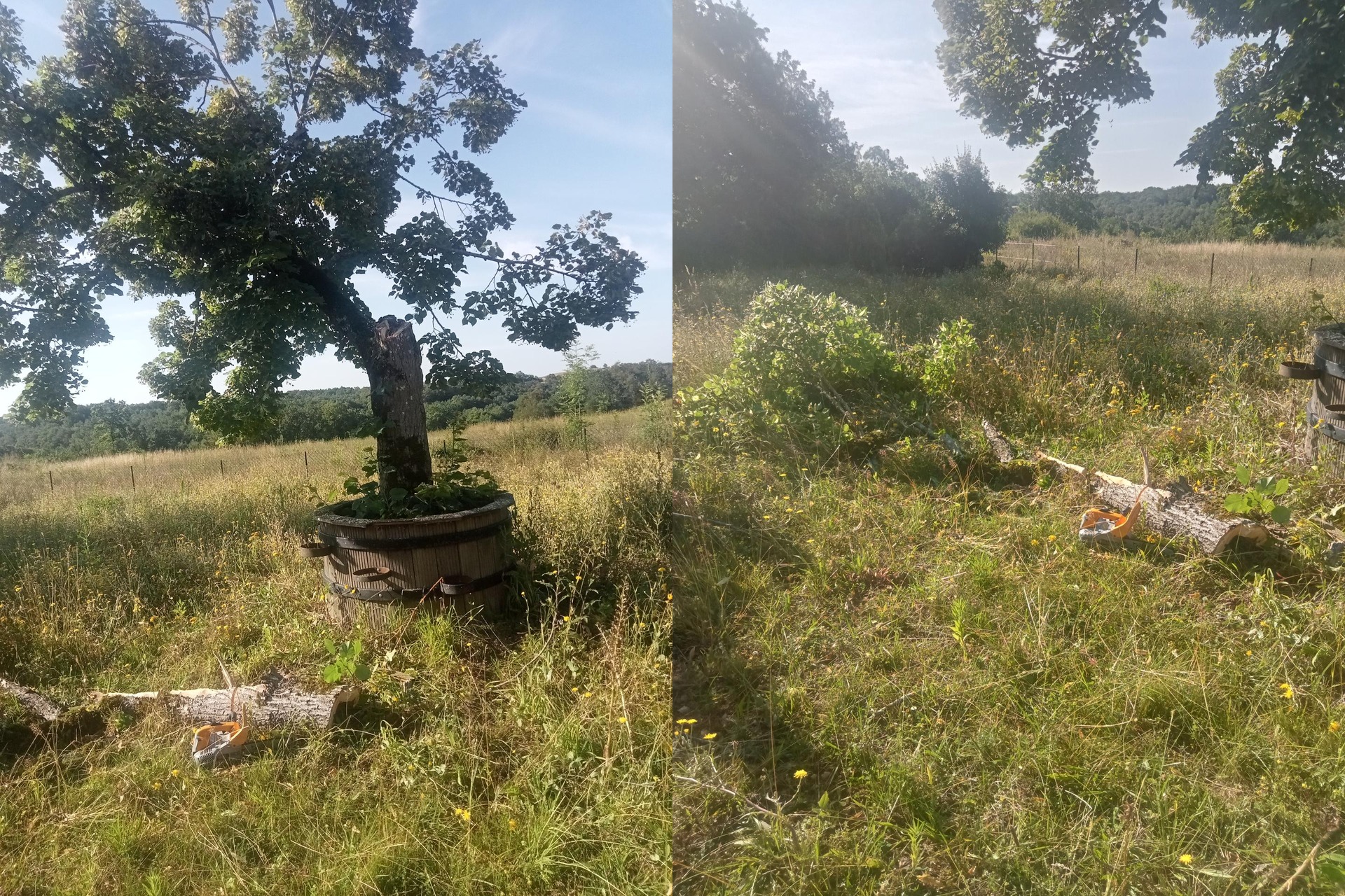Élagueur à Lauzerte, Cahors, Tournon-d'Agenais